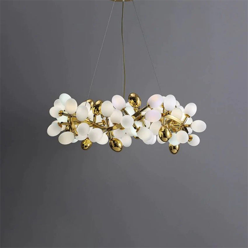 Nico Grape Shape Round Chandelier for Dinning
